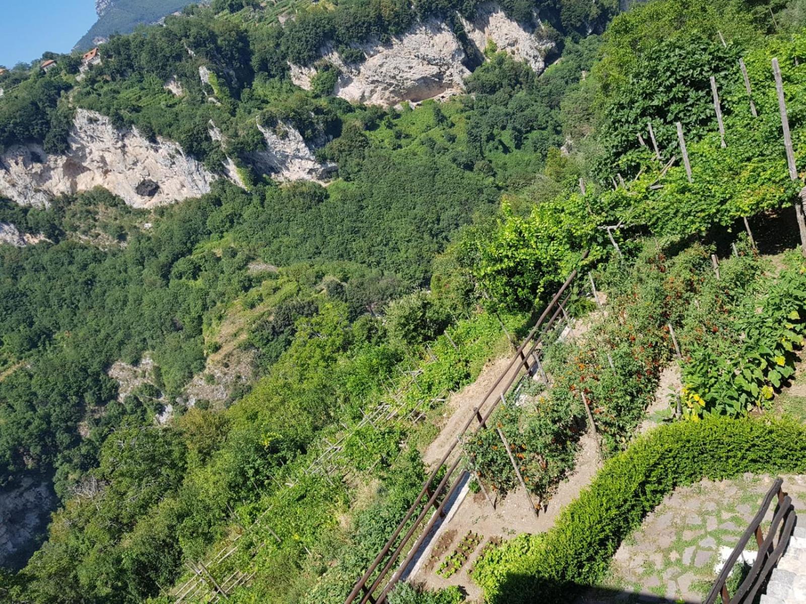 Agriturismo Orrido Di Pino Аджерола Экстерьер фото