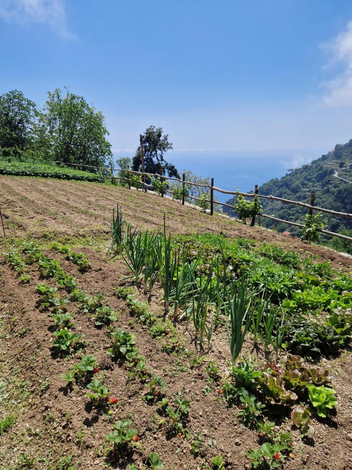 Agriturismo Orrido Di Pino Аджерола Экстерьер фото