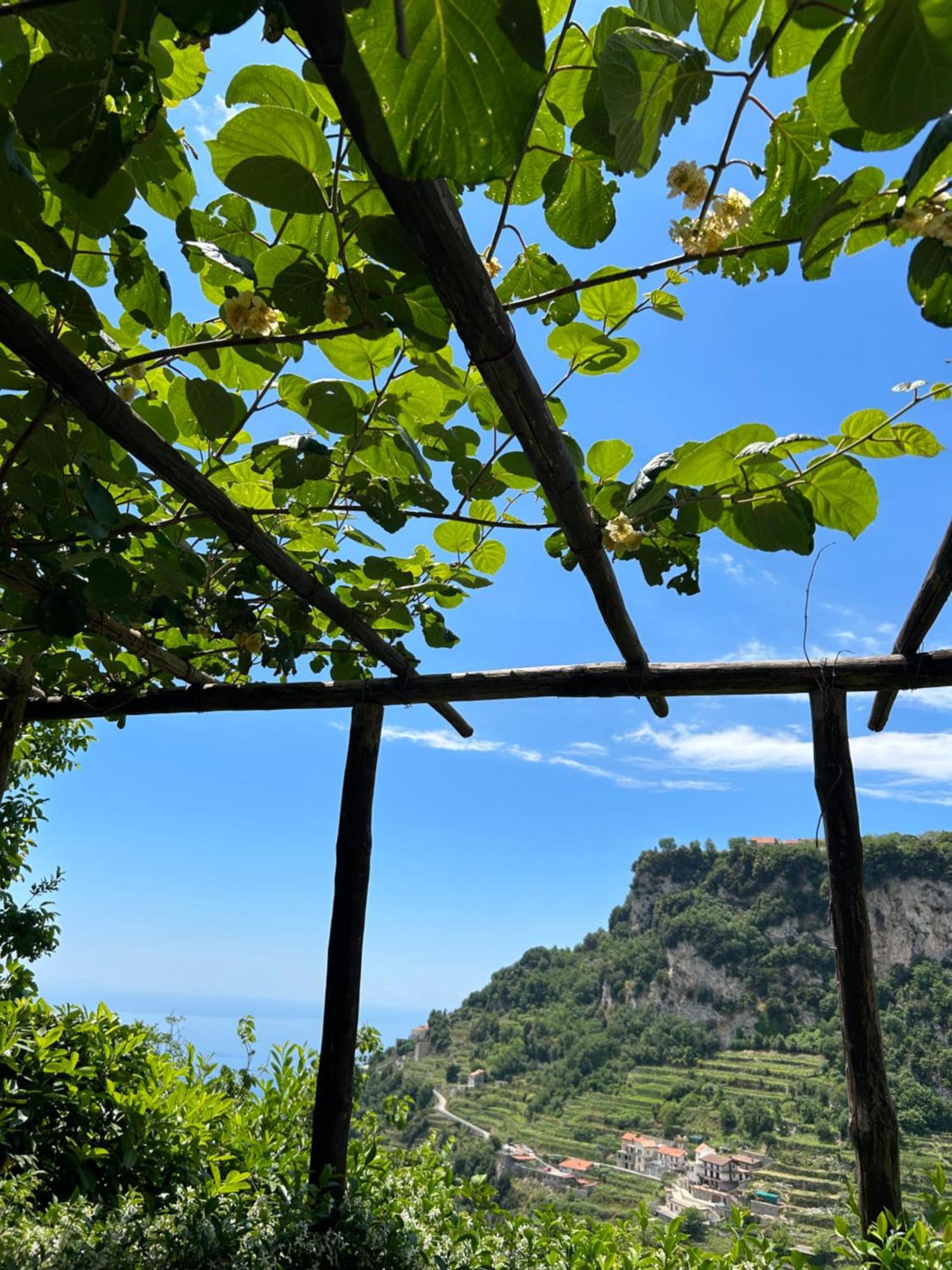 Agriturismo Orrido Di Pino Аджерола Экстерьер фото