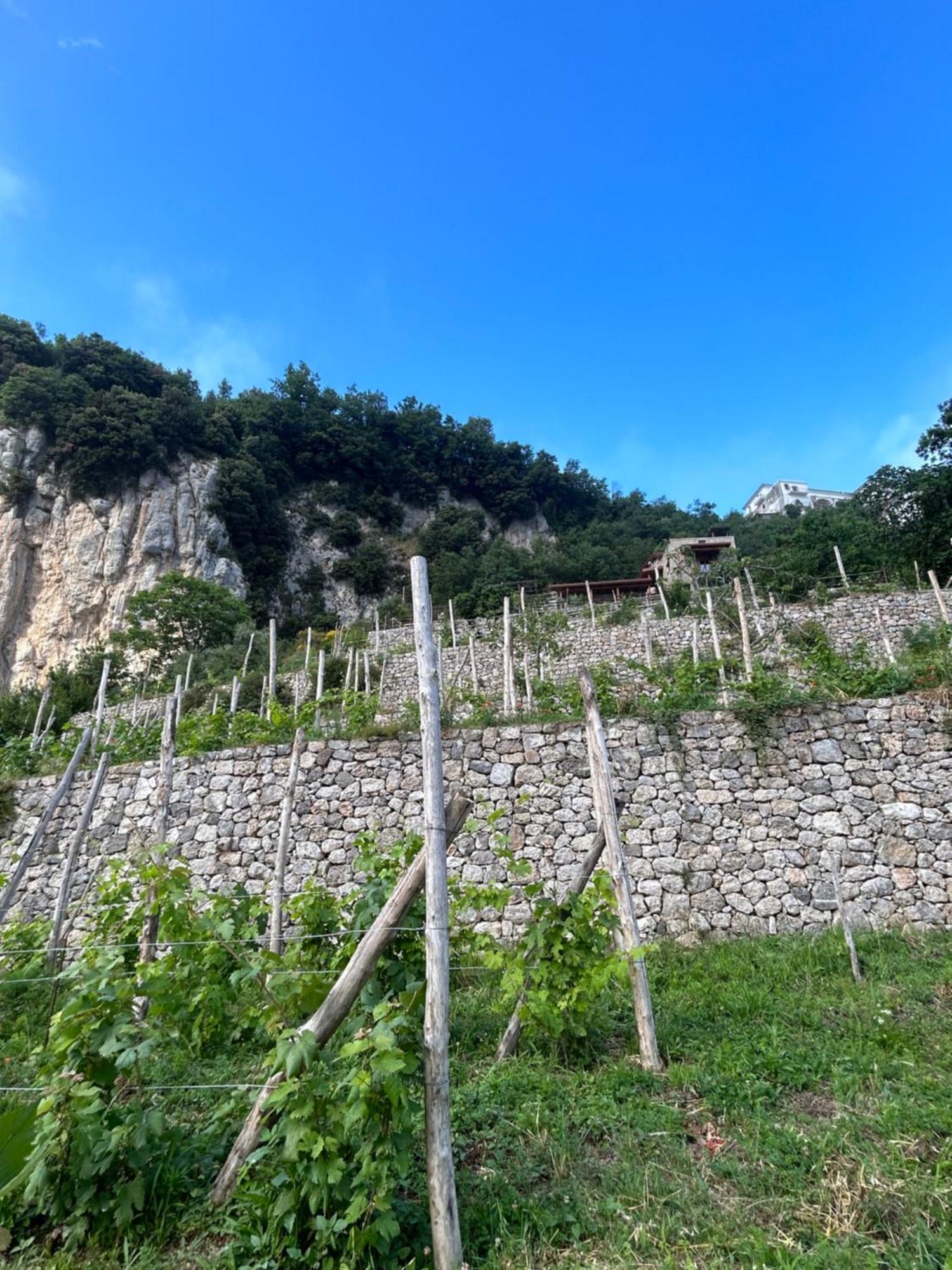 Agriturismo Orrido Di Pino Аджерола Экстерьер фото