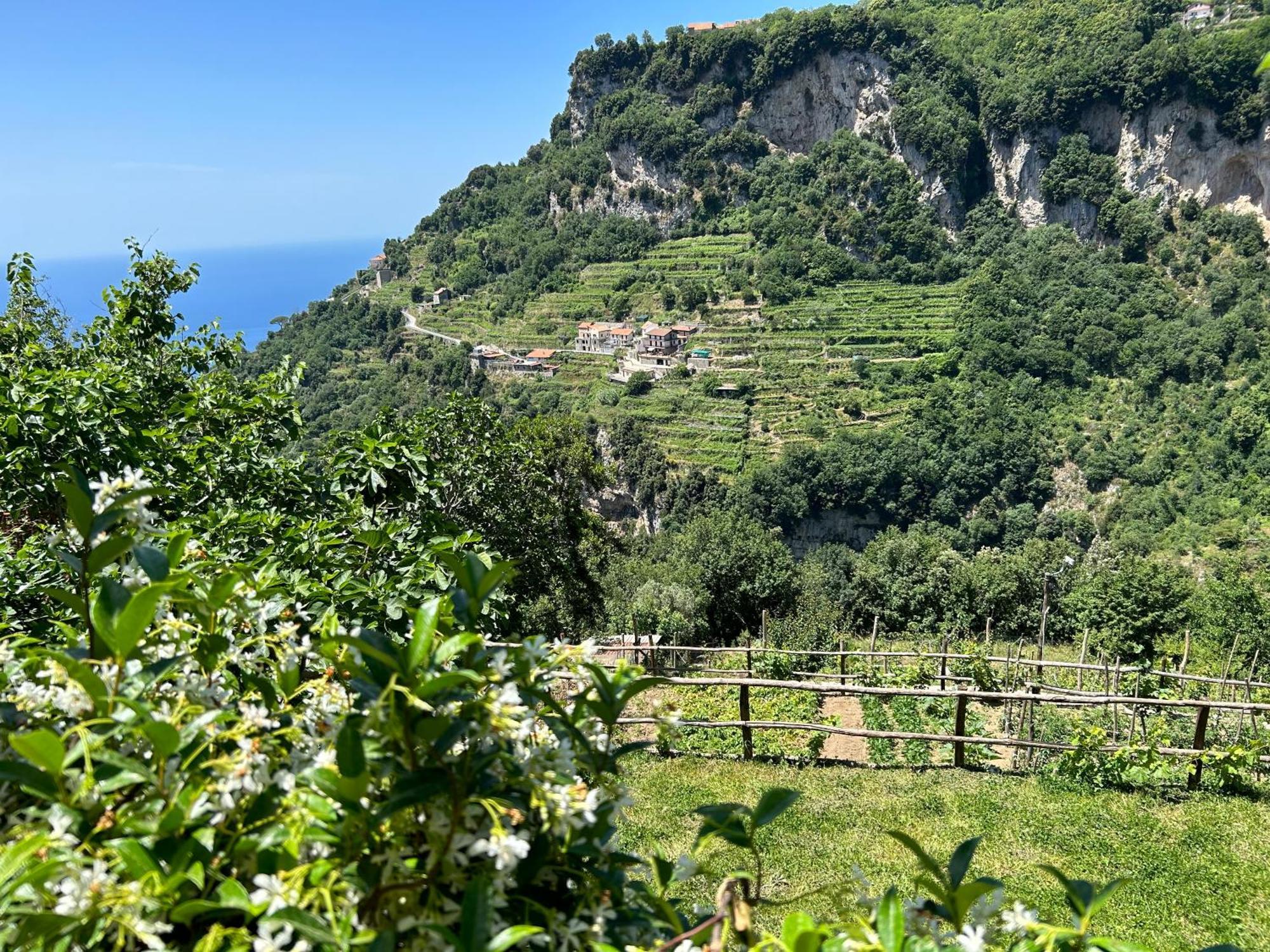 Agriturismo Orrido Di Pino Аджерола Экстерьер фото