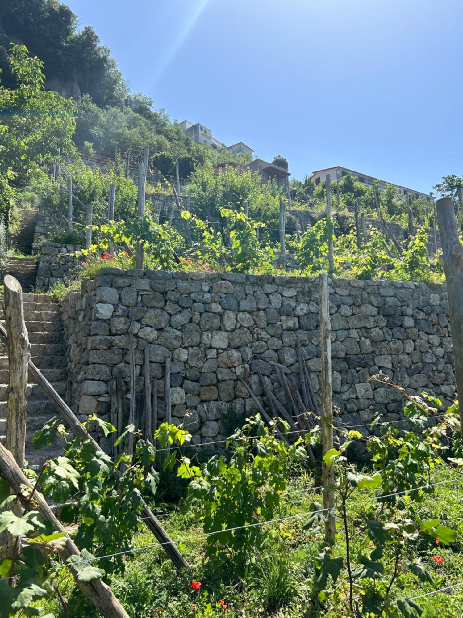 Agriturismo Orrido Di Pino Аджерола Экстерьер фото